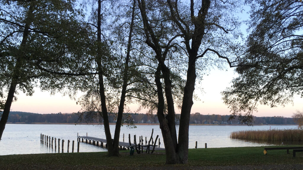 Steg am See in ruhiger Abendstimmung – Symbol für Klarheit und Orientierung im Coaching