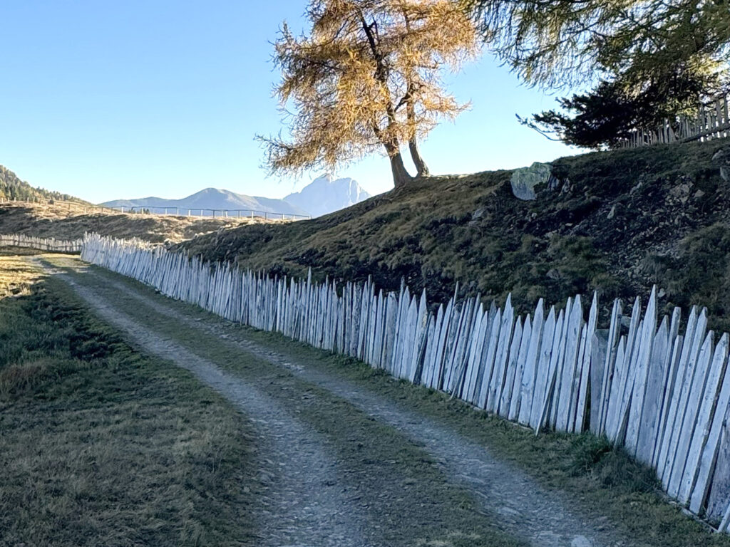 Ein Weg, der sich durch eine ruhige Landschaft zieht und Orientierung in die Ferne gibt.